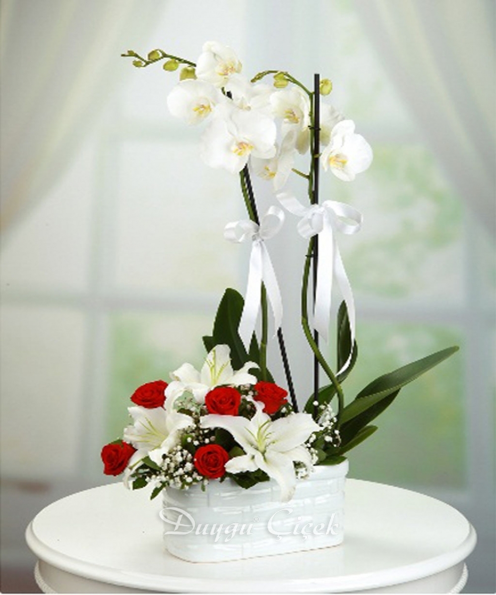 Beyaz Orkide Aranjmanı-Lilyum ve Gül 